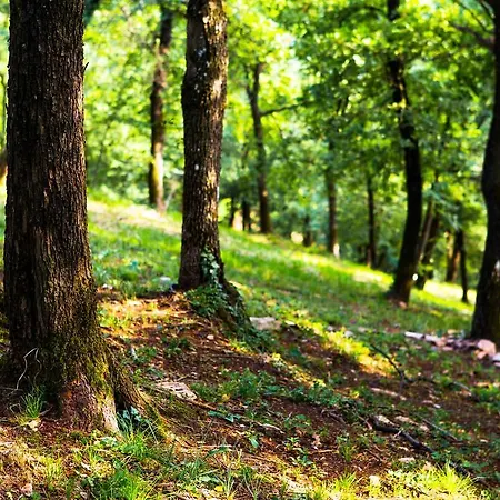 Il Bagnolo Eco
